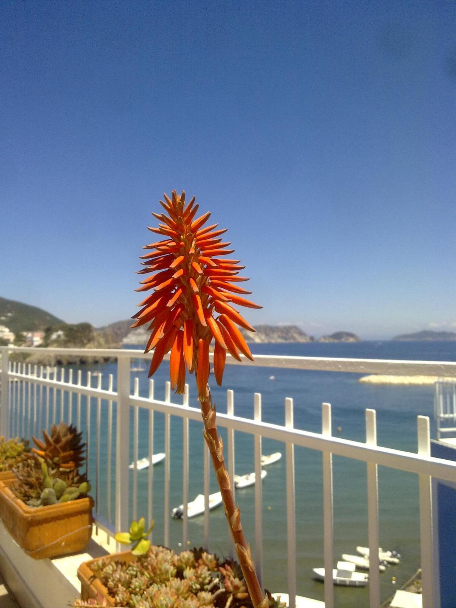 Hotel La Baia Ponza Exteriör bild